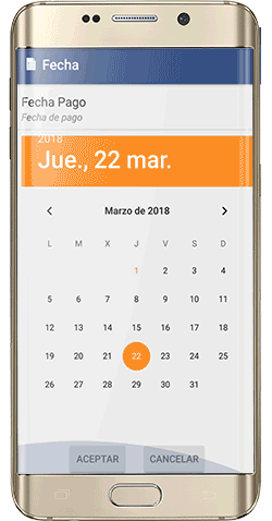 video aplicación Mapcel